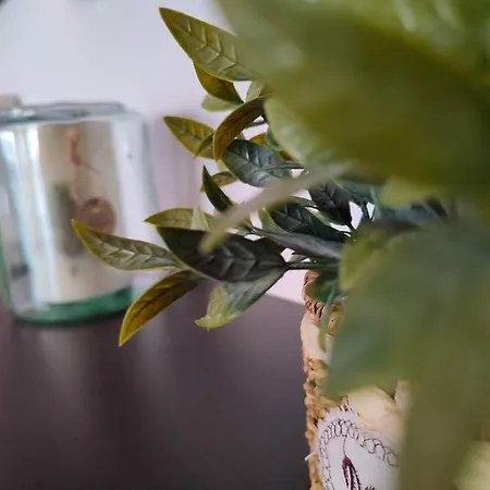 Historic Center Apartman Bukarest