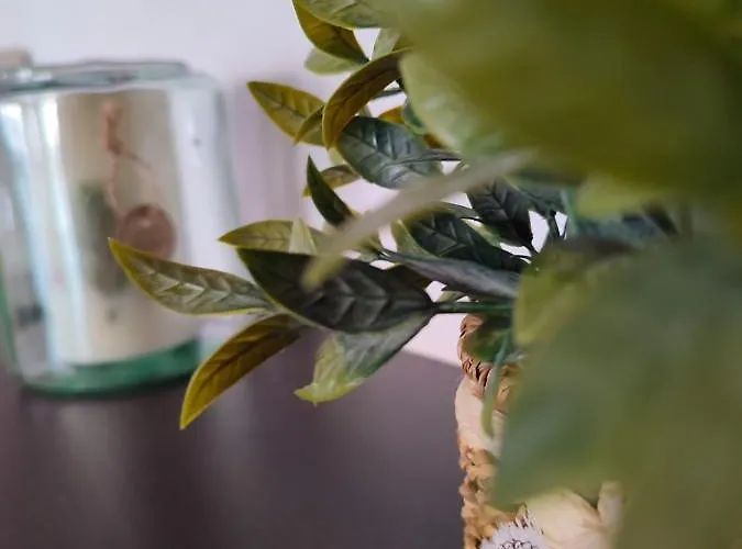 Historic Center דירה בוקרשט