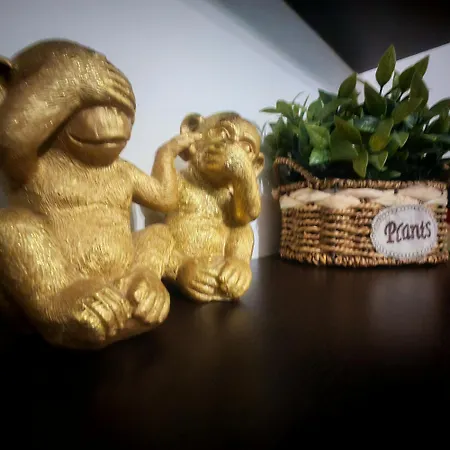 Historic Center بوخارست